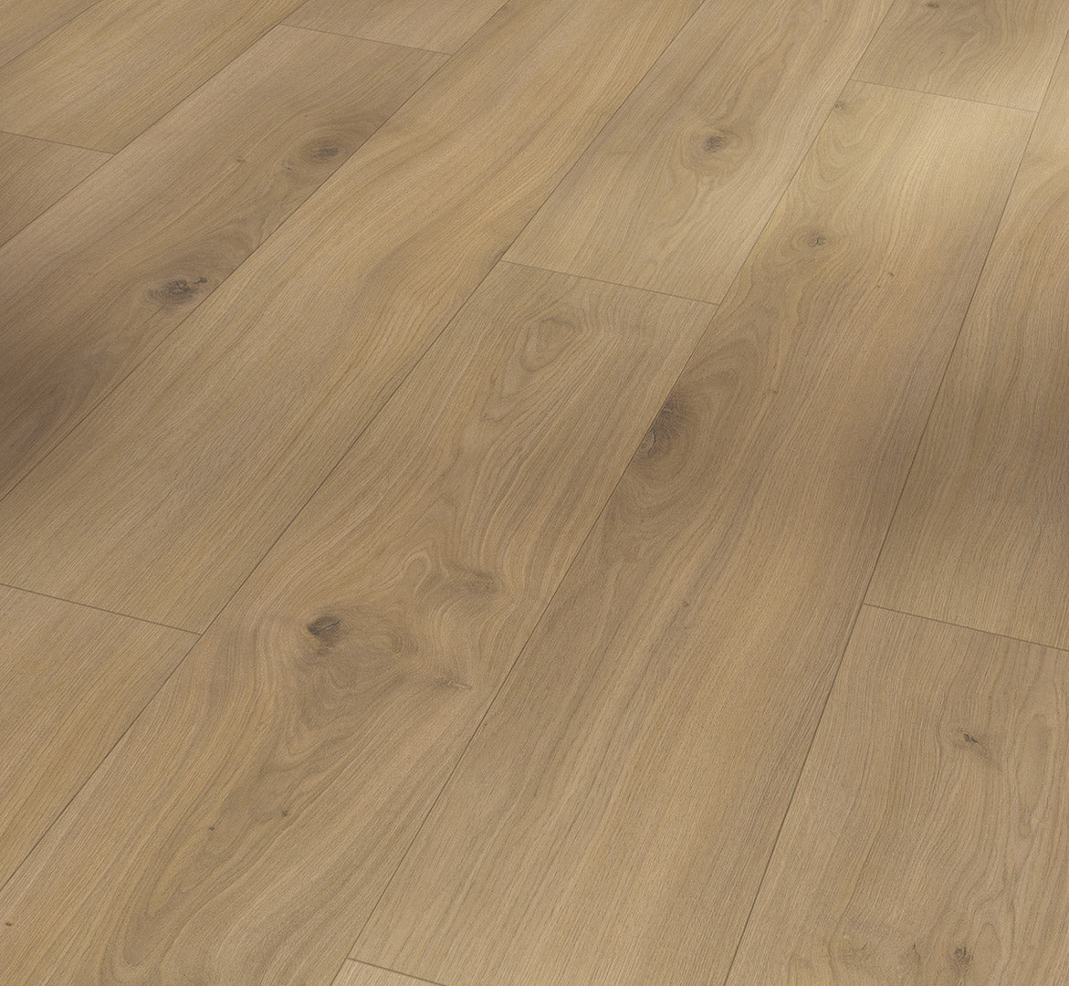Oak Horizont natural