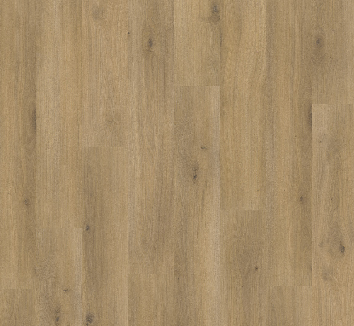Oak Horizont natural