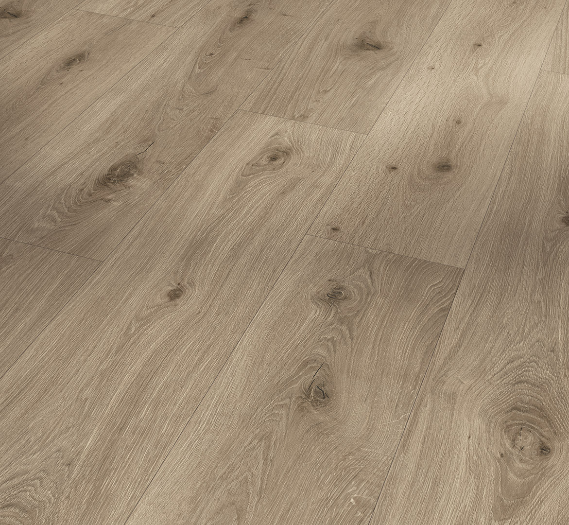 Oak Imperial macchiato