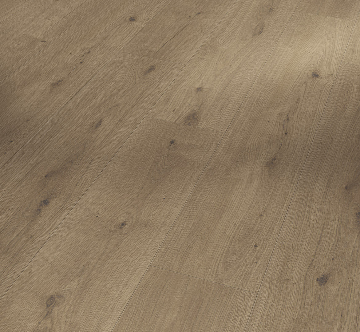 Oak Atmosphere umber