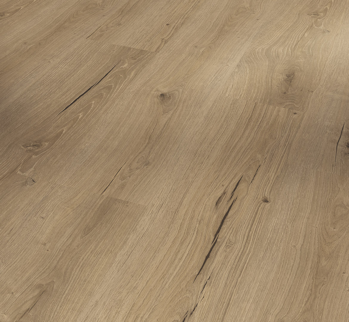 Oak Cambridge natural