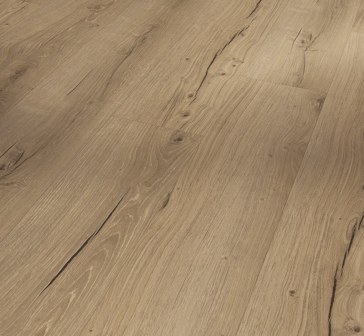 Oak Cambridge natural